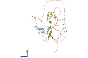 AlphaFold protein structure predicition of Mouse Recombinant Sp9 Protein, UniprotID Q64HY3