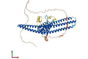 AlphaFold protein structure predicition of Mouse Recombinant Snx2 Protein, UniprotID Q9CWK8