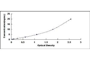 Typical standard curve (MYH3 Kit ELISA)