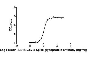 Activity: Measured by its binding ability in a functional ELISA.