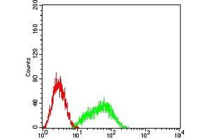 Flow cytometric analysis of HL-60 cells using CLL1 mouse mAb (green) and negative control (red).