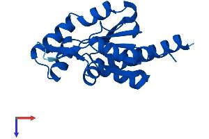 AlphaFold protein structure predicition of Human Recombinant AK6 Protein, UniprotID Q9Y3D8
