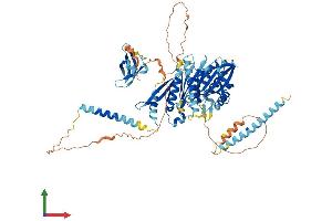 AlphaFold protein structure predicition of Human Recombinant KIF2B Protein, UniprotID Q8N4N8