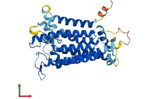 AlphaFold protein structure predicition of Mouse Recombinant Srd5a3 Protein, UniprotID Q9WUP4
