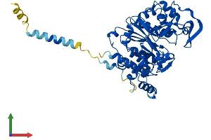 AlphaFold protein structure predicition of Human Recombinant GCNT1 Protein, UniprotID Q02742