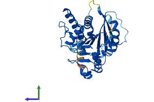 AlphaFold protein structure predicition of Mouse Recombinant Glt6d1 Protein, UniprotID Q2NKH9