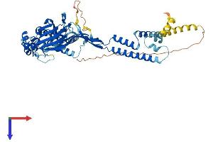 AlphaFold protein structure predicition of Mouse Recombinant Asic3 Protein, UniprotID Q6X1Y6