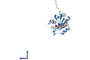 AlphaFold protein structure predicition of Mouse Recombinant Rab6b Protein, UniprotID P61294