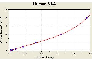 Serum Amyloid A (SAA) ELISA Kit