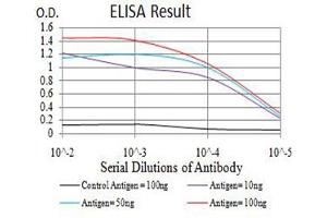 Black line: Control Antigen (100 ng),Purple line: Antigen (10 ng), Blue line: Antigen (50 ng), Red line:Antigen (100 ng) (ATG3 anticorps  (AA 1-100))