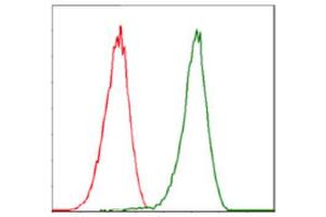 Flow Cytometry (FACS) image for anti-Cyclin-Dependent Kinase 2 (CDK2) antibody (ABIN1845617) (CDK2 anticorps)