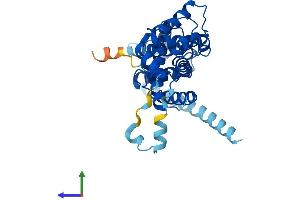 AlphaFold protein structure predicition of Human Recombinant ELMOD1 Protein, UniprotID Q8N336