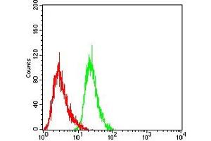 Flow cytometric analysis of Jurkat cells using CD15 mouse mAb (green) and negative control (red).