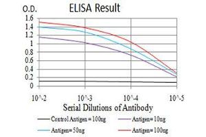 Black line: Control Antigen (100 ng),Purple line: Antigen (10 ng), Blue line: Antigen (50 ng), Red line:Antigen (100 ng) (IL1RAPL1 anticorps  (AA 541-694))
