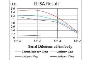 Black line: Control Antigen (100 ng), Purple line: Antigen(10 ng), Blue line: Antigen (50 ng), Red line: Antigen (100 ng), (DDIT3 anticorps  (AA 87-192))