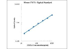 ELISA image for Chemokine (C-X-C Motif) Ligand 1 (Melanoma Growth Stimulating Activity, Alpha) (CXCL1) ELISA Kit (ABIN2472091)