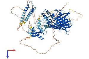 AlphaFold protein structure predicition of Human Recombinant OSBPL10 Protein, UniprotID Q9BXB5