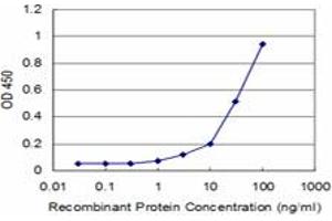 Detection limit for recombinant GST tagged MDS028 is approximately 3ng/ml as a capture antibody. (ITFG2 anticorps  (AA 1-447))
