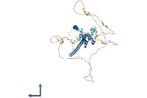 AlphaFold protein structure predicition of Mouse Recombinant Runx1t1 Protein, UniprotID Q61909