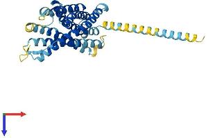 Lysophosphatidic Acid Receptor 6 (LPAR6) (AA 1-344) protein (His tag)