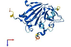 AlphaFold protein structure predicition of Human Recombinant ALKBH6 Protein, UniprotID Q3KRA9