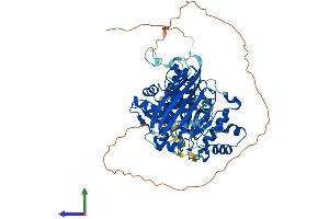 AlphaFold protein structure predicition of Human Recombinant MOCS1 Protein, UniprotID Q9NZB8