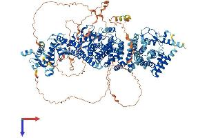 AlphaFold protein structure predicition of Human Recombinant UBE4B Protein, UniprotID O95155