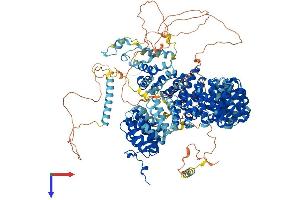 AlphaFold protein structure predicition of Human Recombinant SF3B1 Protein, UniprotID O75533