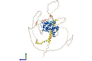 AlphaFold protein structure predicition of Mouse Recombinant Nfia Protein, UniprotID Q02780