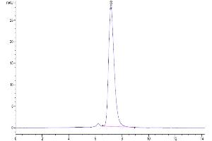 The purity of Biotinylated Human IL-17R alpha is greater than 95 % as determined by SEC-HPLC.
