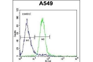 C5AR1 Antibody (Center) (ABIN654658 and ABIN2844355) flow cytometric analysis of A549 cells (right histogram) compared to a negative control cell (left histogram). (C5AR1 anticorps  (AA 175-201))