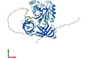 AlphaFold protein structure predicition of Human Recombinant GSPT1 Protein, UniprotID P15170
