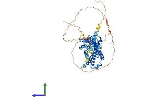 AlphaFold protein structure predicition of Human Recombinant C3AR1 Protein, UniprotID Q16581