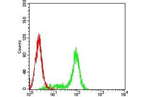 Flow cytometric analysis of Hela cells using FGL1 mouse mAb (green) and negative control (red).