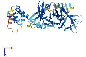 AlphaFold protein structure predicition of Mouse Recombinant Fbxo15 Protein, UniprotID Q9QZN0
