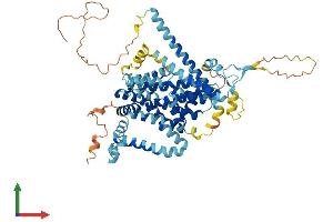 AlphaFold protein structure predicition of Human Recombinant SLC34A3 Protein, UniprotID Q8N130