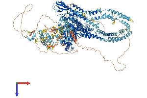 AlphaFold protein structure predicition of Human Recombinant KDM5D Protein, UniprotID Q9BY66