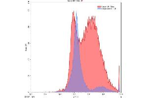 Detection of IL6 in Chos line transfected with target gene using Anti-Interleukin 6 (IL6) Polyclonal Antibody