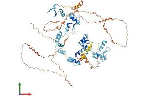 AlphaFold protein structure predicition of Human Recombinant ZNF710 Protein, UniprotID Q8N1W2