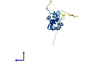AlphaFold protein structure predicition of Human Recombinant KCTD15 Protein, UniprotID Q96SI1