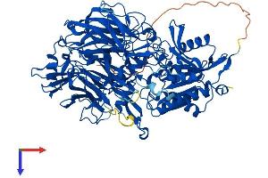 AlphaFold protein structure predicition of Mouse Recombinant Dpp8 Protein, UniprotID Q80YA7
