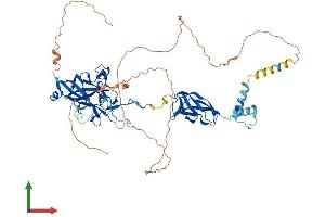AlphaFold protein structure predicition of Mouse Recombinant Ebf2 Protein, UniprotID O08792
