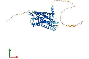 AlphaFold protein structure predicition of Mouse Recombinant Galr2 Protein, UniprotID O88854