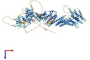 AlphaFold protein structure predicition of Human Recombinant EDRF1 Protein, UniprotID Q3B7T1