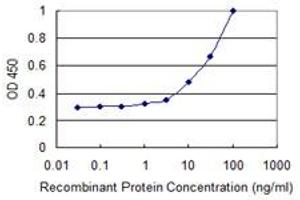 Detection limit for recombinant GST tagged AKTIP is 1 ng/ml as a capture antibody. (AKTIP anticorps  (AA 1-292))