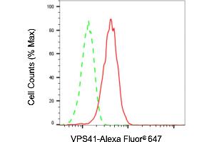 Flow cytometric analysis of VPS41 expression in H9c2 cells using VPS41 antibody (ABIN7800815), 1:2,000). (Recombinant VPS41 anticorps)