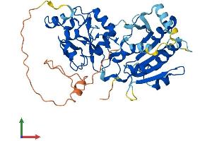 AlphaFold protein structure predicition of Mouse Recombinant Dnmt3l Protein, UniprotID Q9CWR8