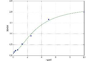 Sarcosine Dehydrogenase (SARDH) ELISA Kit