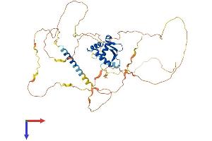AlphaFold protein structure predicition of Human Recombinant ETV1 Protein, UniprotID P50549