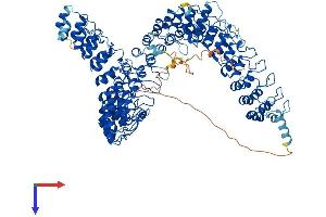AlphaFold protein structure predicition of Human Recombinant ANKRD28 Protein, UniprotID O15084